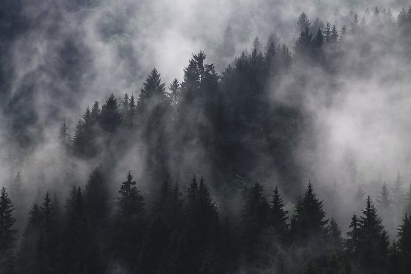 Olympic National Park